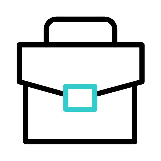 briefcase business professional